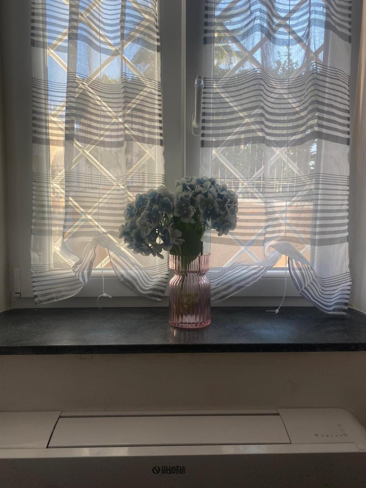 Country House Ortensie トッレ・デル・グレコ エクステリア 写真